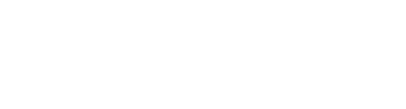 Clever Girl Cleaning CO white